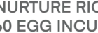 Nurture-Right-360 Logo.